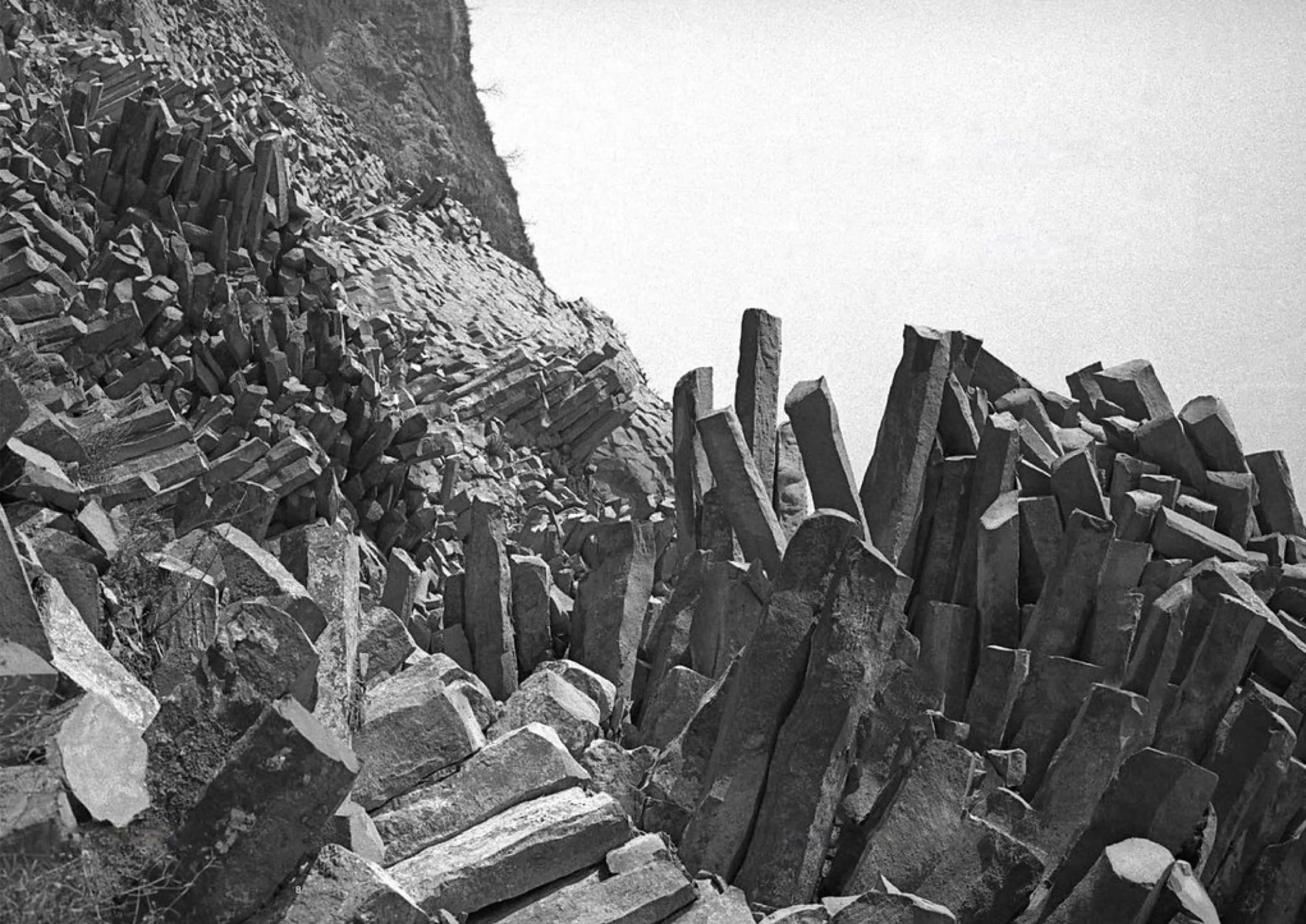 Affioramento basaltico · vite tra le pietre